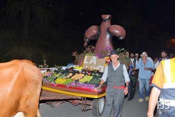 Romería popular en el Valle de los Nueve de Telde (Foto Francisco Javier Santana)